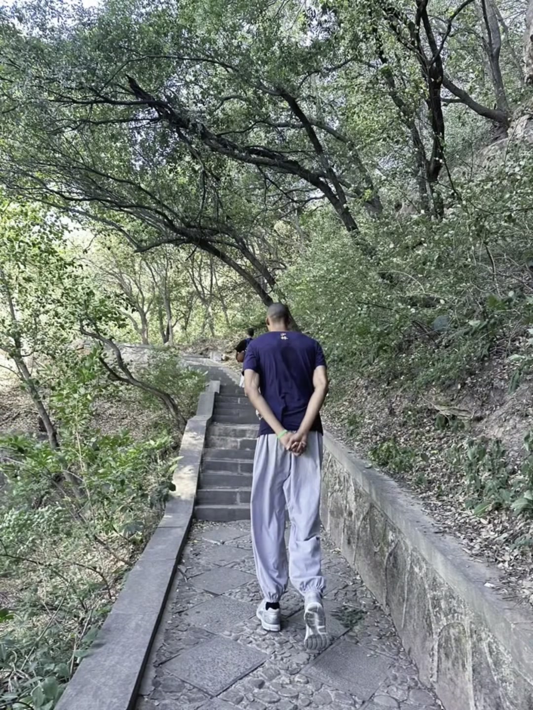 高僧心性文班被拍到背着手走在嵩山林间