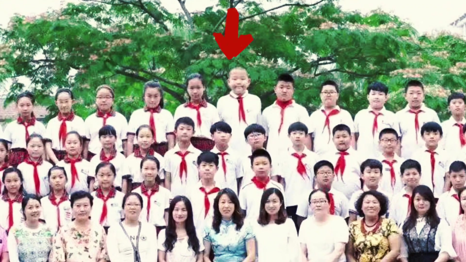 杨瀚森小学毕业照被网友翻出 全班最高C位当仁不让