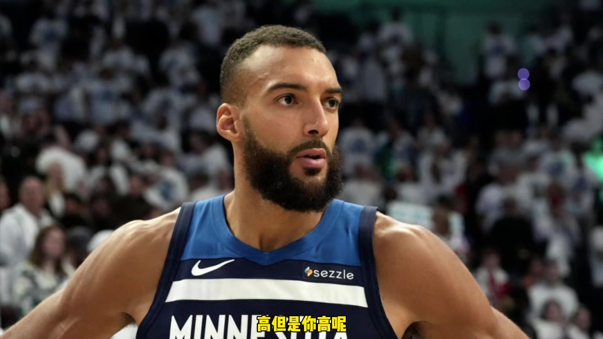 杨毅姚明最喜欢最对的球员就是戈贝尔这样的 就是要高