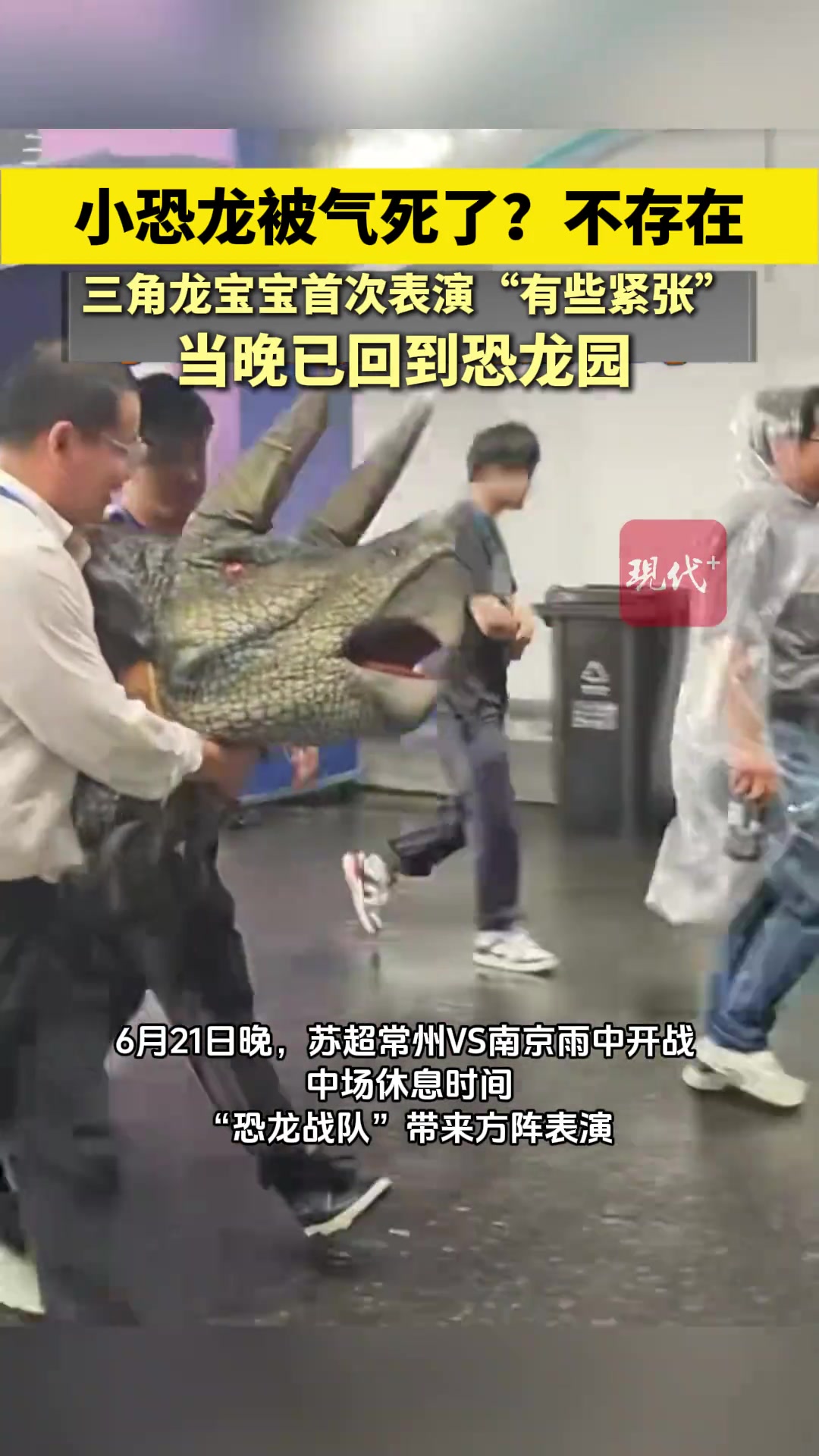 小恐龙被常州气死了不存在三角龙宝宝首次表演有些紧张