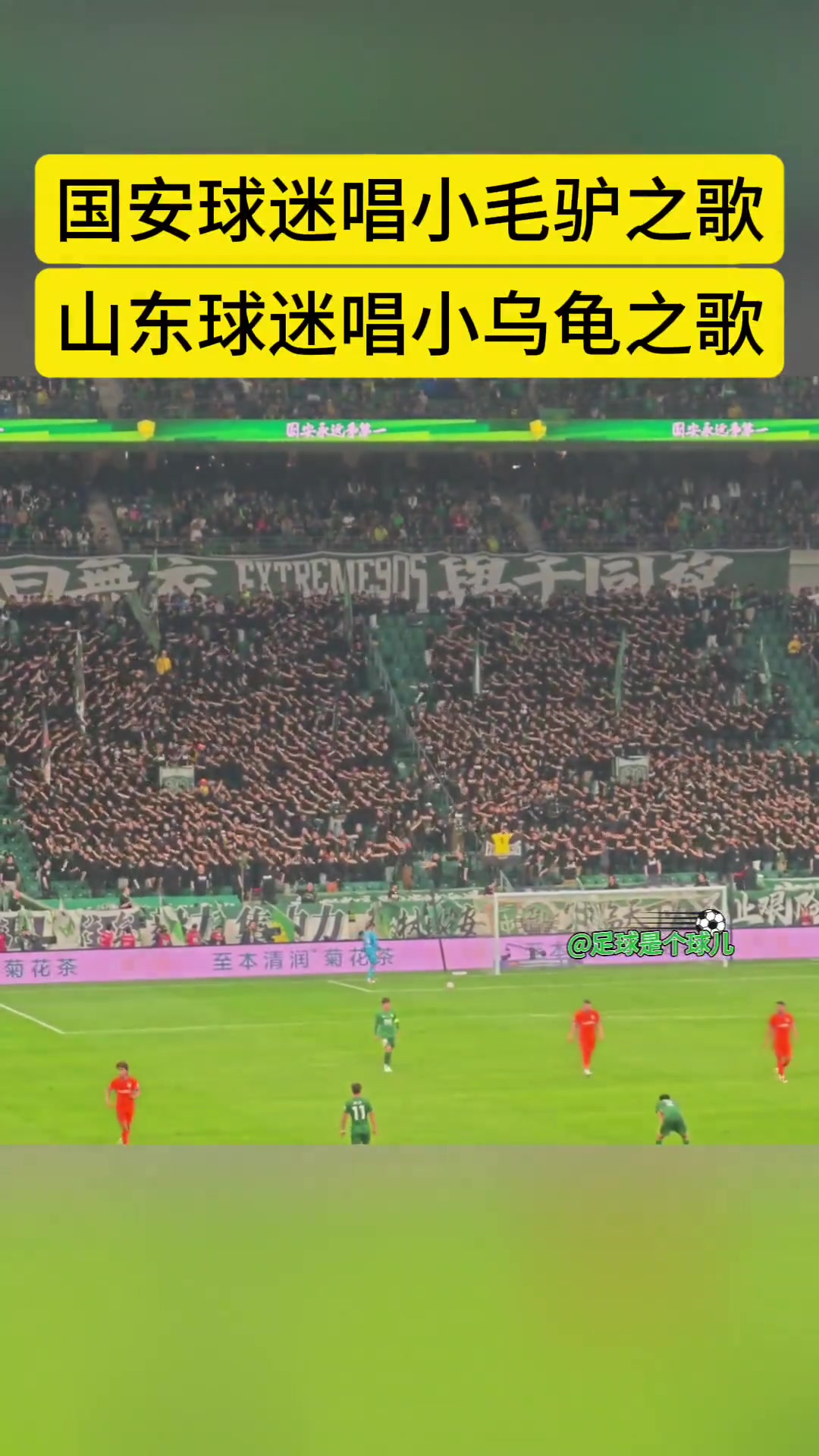 别样拉歌国安球迷此前开火车唱小毛驴泰山球迷则唱小乌龟回敬