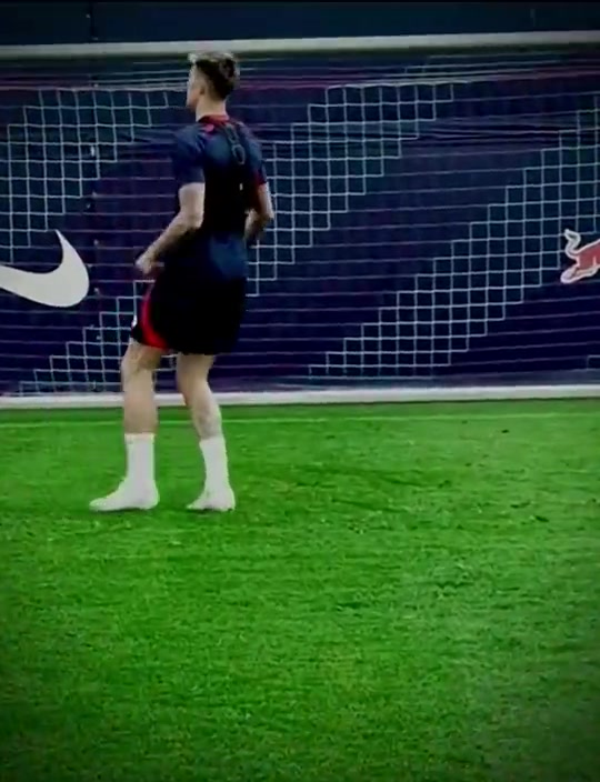 真假塞斯科这弹跳有点变态了吧